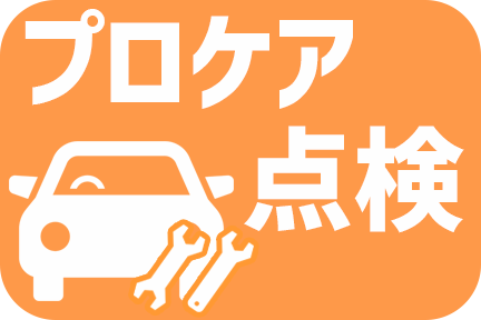 プロケア点検