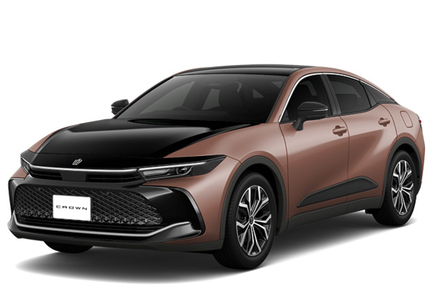 ブラック〈227〉×プレシャスブロンズ〈4Y6〉［2XZ］フロントサイド